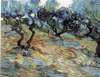 Gogh, Vincent van - Olive Orchard